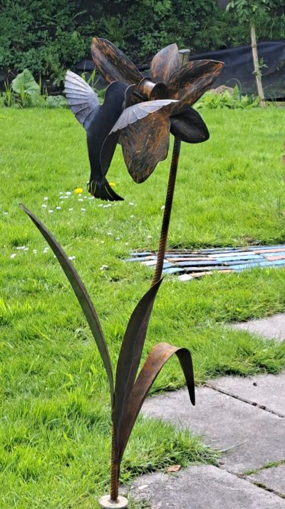 Vreugde van het leven