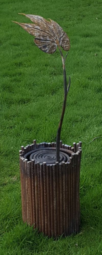 Moerbei Boom